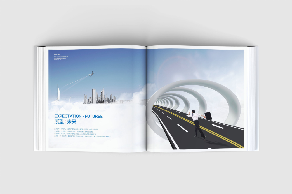 兴安区画册设计